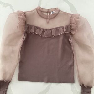 Zara Sheer Blouse in Soft Pink